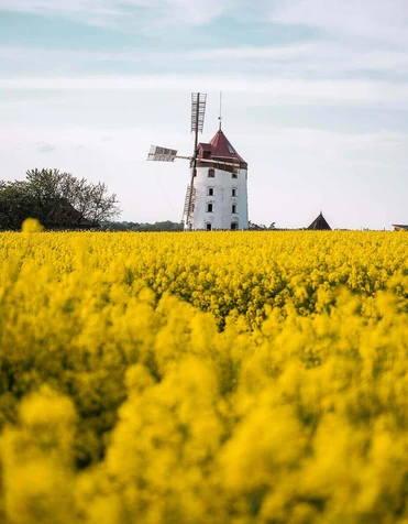 Větrný mlýn Vrátno