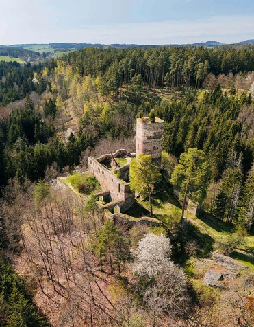 Zřícenina hradu Gutštejn