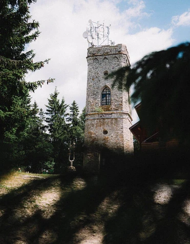 Žalý