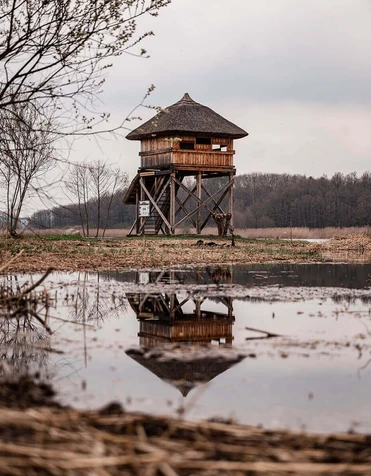 Ornitologická pozorovatelna Bohdanečský rybník